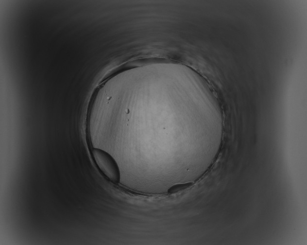 X0000099980003200806061533