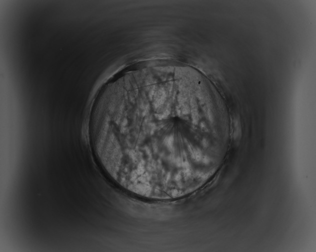 X0000099980004200806061533