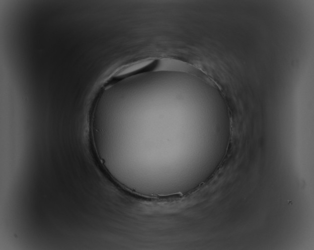 X0000099980005200806061533