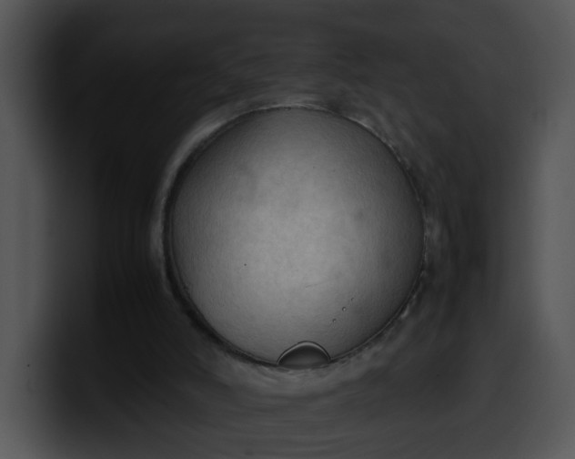 X0000099980006200806061533