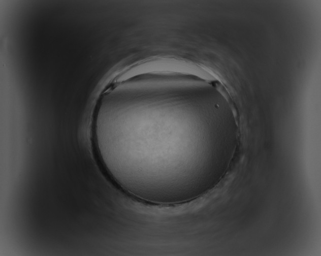 X0000099980007200806061533