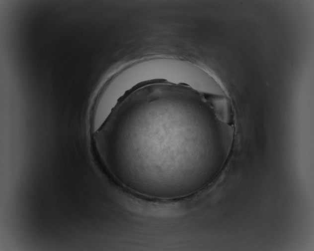 X0000099980008200806061533