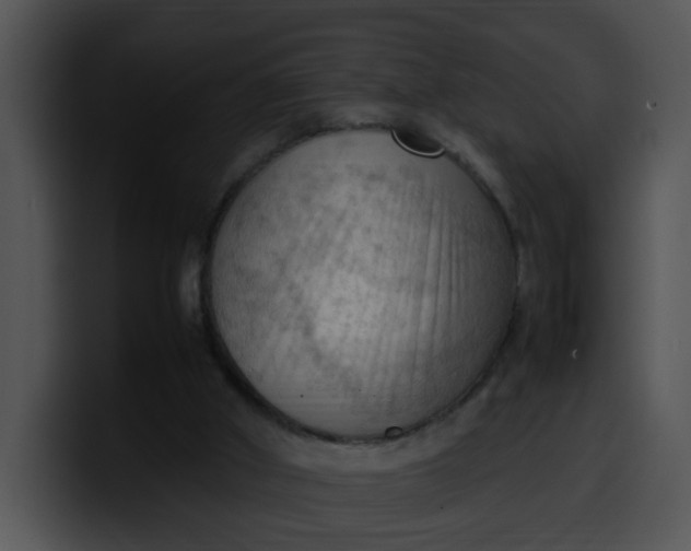 X0000099980010200806061533