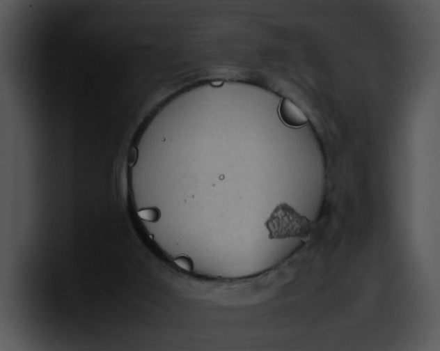 X0000099980011200806061533