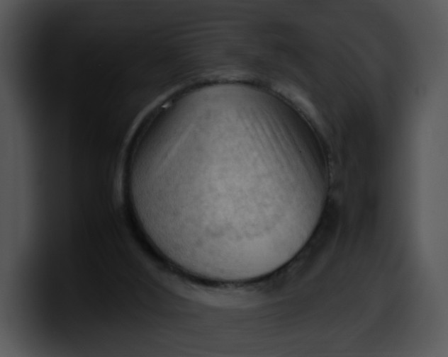 X0000099980012200806061533