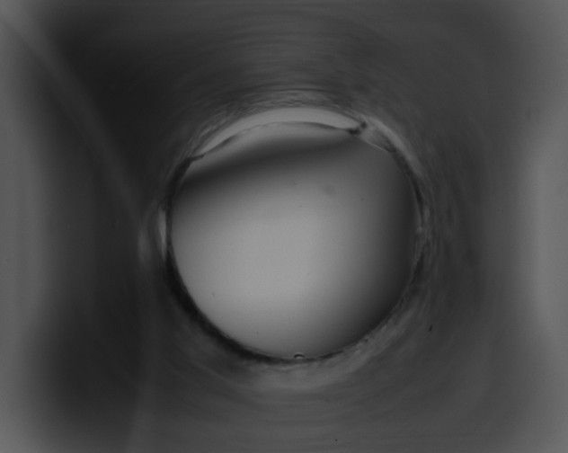 X0000099980013200806061533