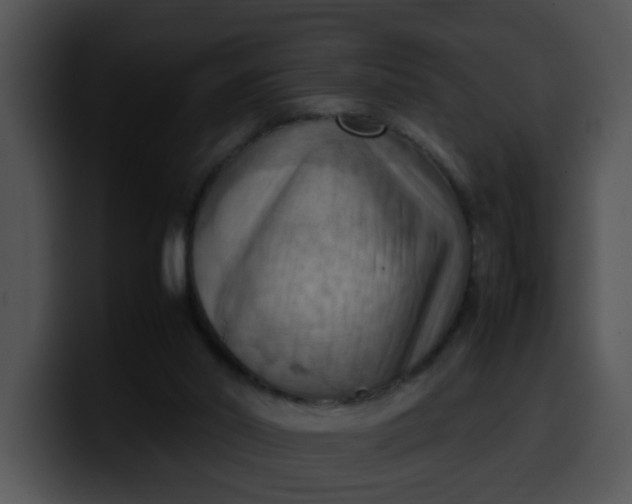 X0000099980014200806061533