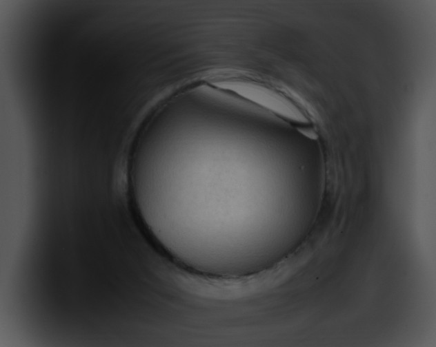 X0000099980015200806061533