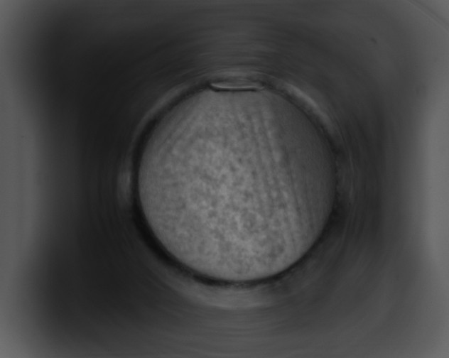 X0000099980016200806061533