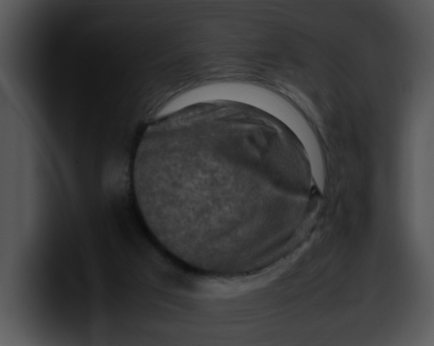 X0000099980017200806061533