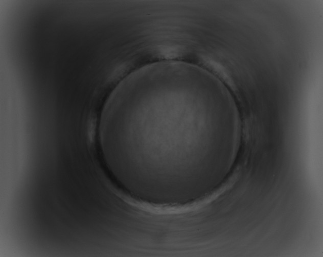 X0000099980018200806061533