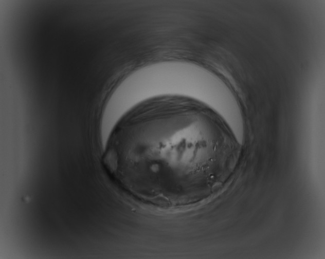 X0000099980019200806061533