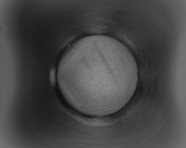 X0000099980020200806061533