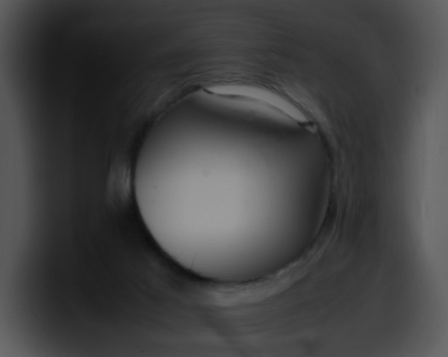 X0000099980021200806061533