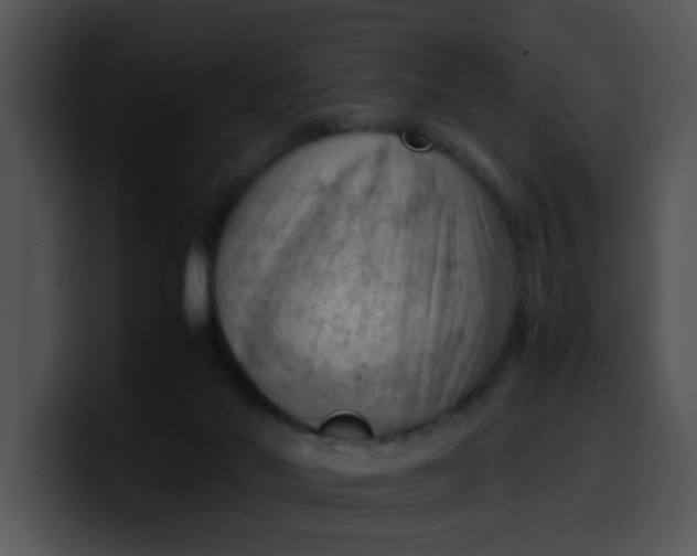 X0000099980022200806061533