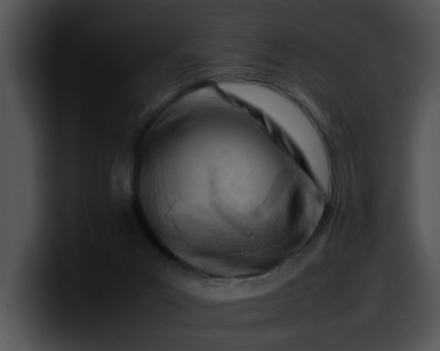 X0000099980023200806061533