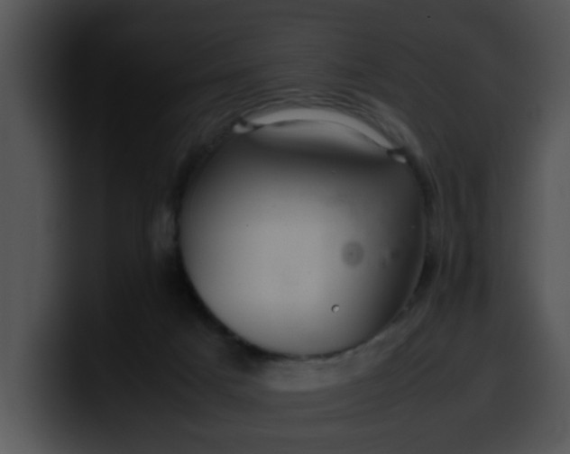 X0000099980025200806061533