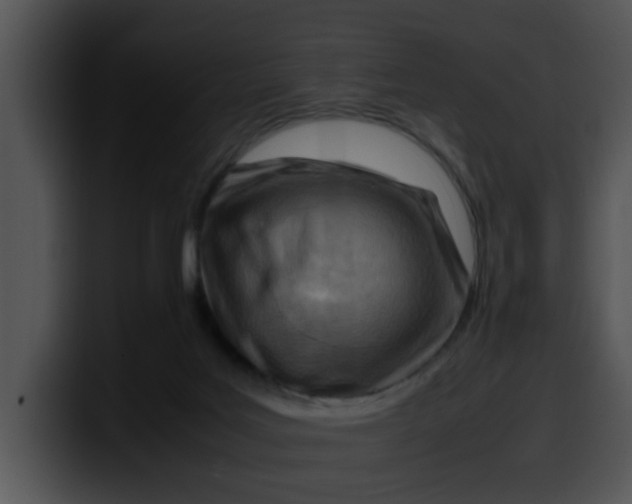 X0000099980027200806061533