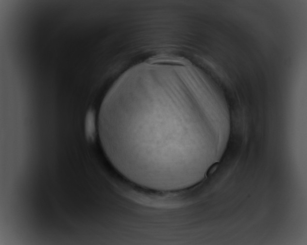 X0000099980028200806061533