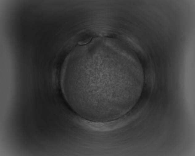 X0000099980030200806061533