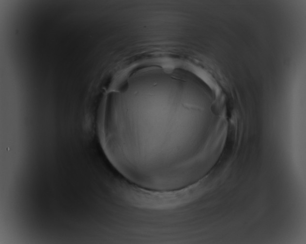 X0000099980031200806061533