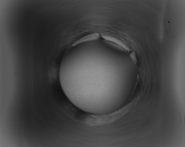 X0000099980033200806061533