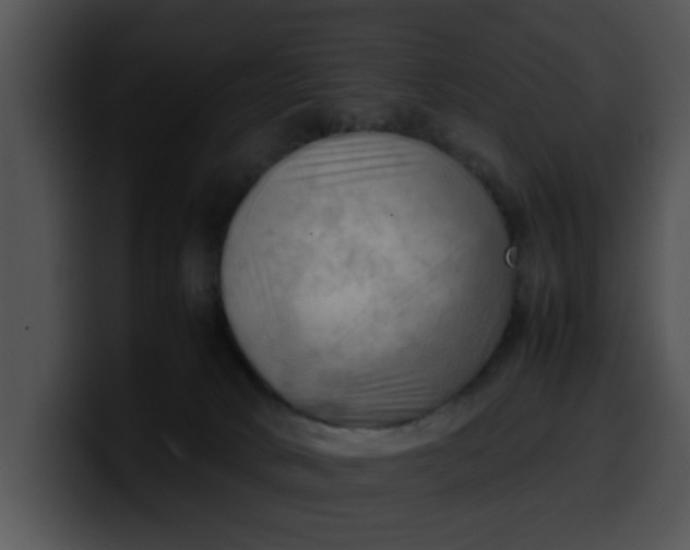 X0000099980034200806061533