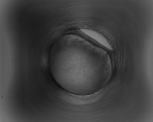 X0000099980035200806061533