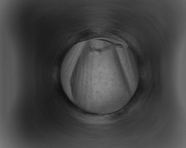 X0000099980036200806061533