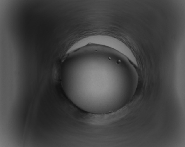 X0000099980037200806061533