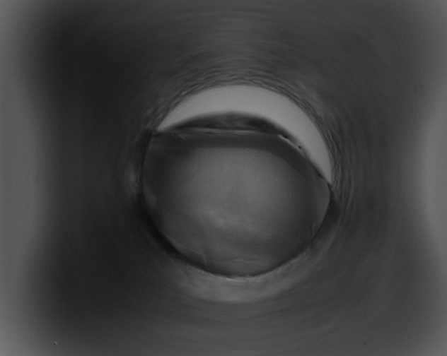 X0000099980039200806061533