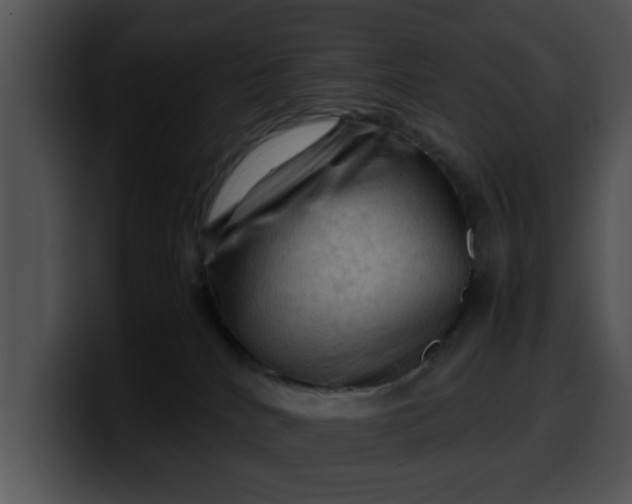 X0000099980040200806061533