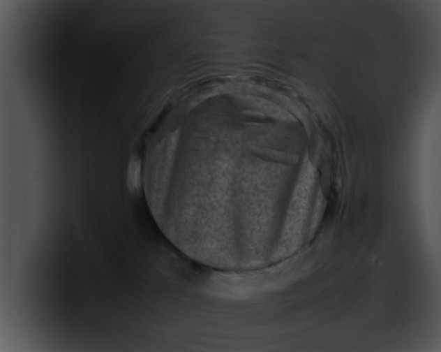 X0000099980041200806061533