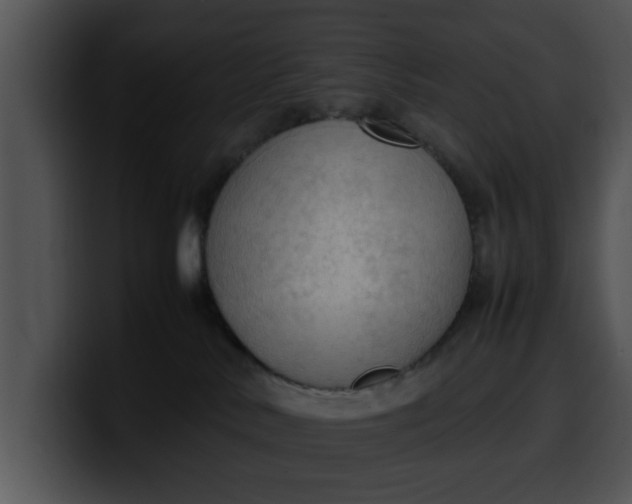 X0000099980042200806061533