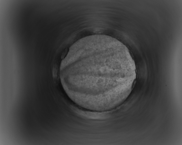 X0000099980044200806061533