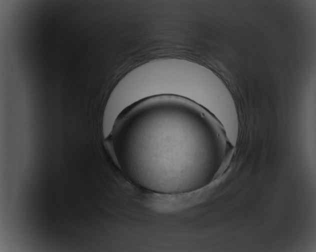 X0000099980045200806061533