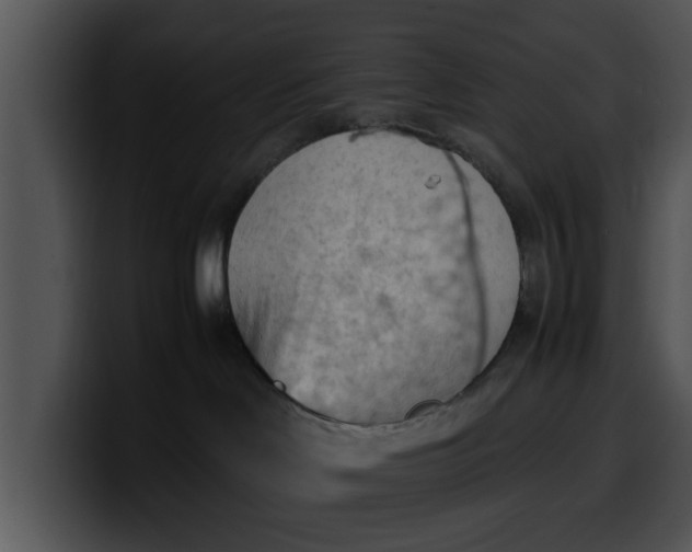 X0000099980046200806061532