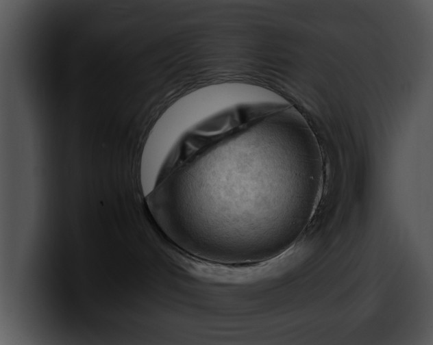 X0000099980048200806061532