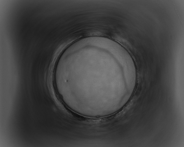 X0000099980049200806061532