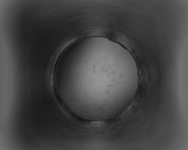 X0000099980050200806061532