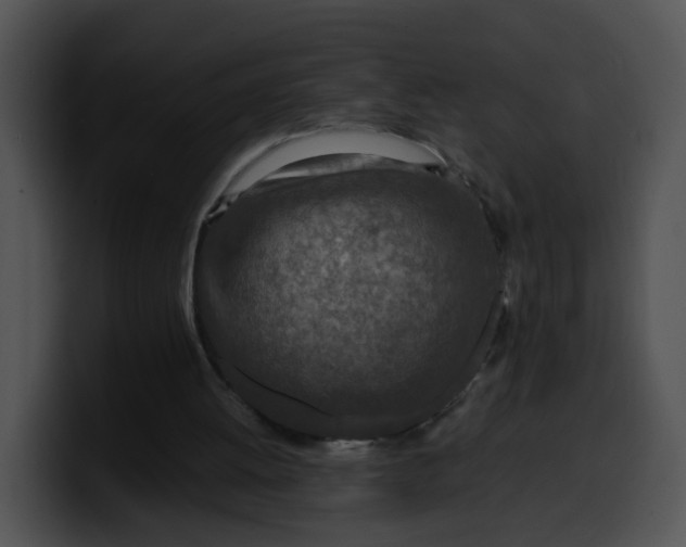 X0000099980052200806061532