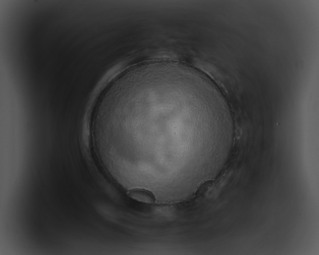 X0000099980053200806061532