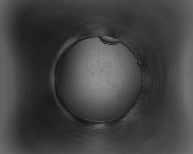 X0000099980054200806061532