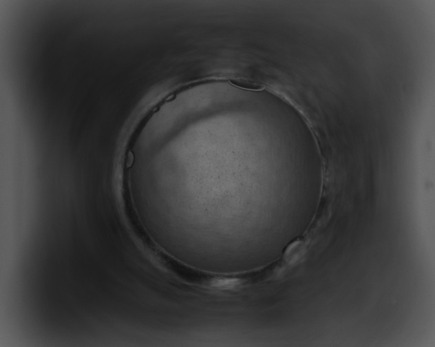 X0000099980055200806061532