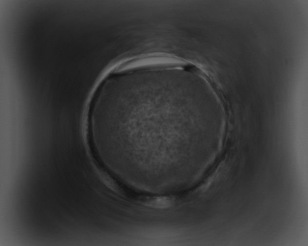 X0000099980056200806061532