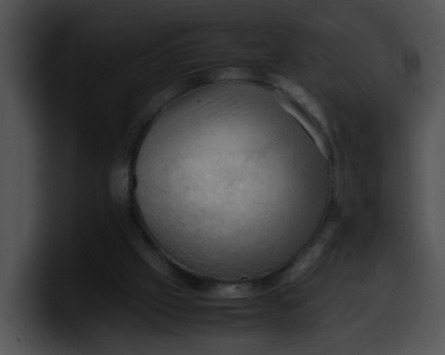 X0000099980057200806061532