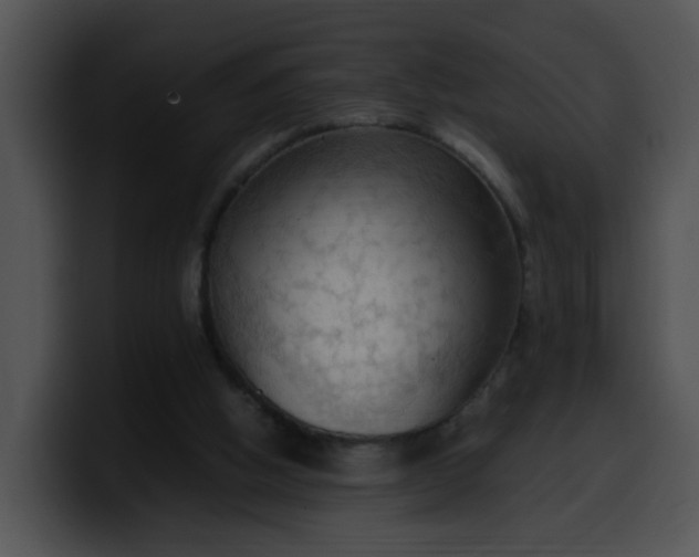 X0000099980058200806061532