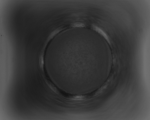 X0000099980059200806061532