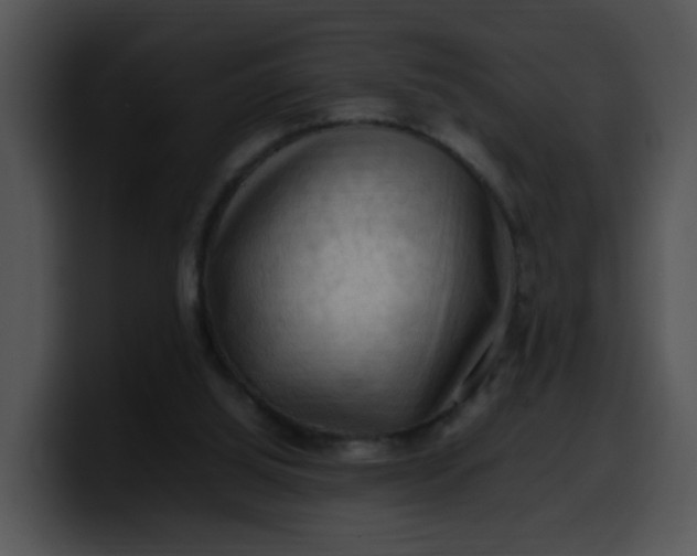 X0000099980060200806061532