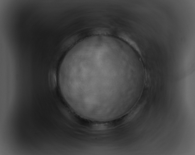 X0000099980061200806061532